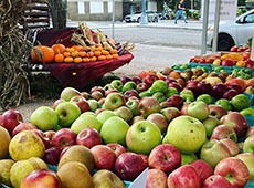 Apples at the festival